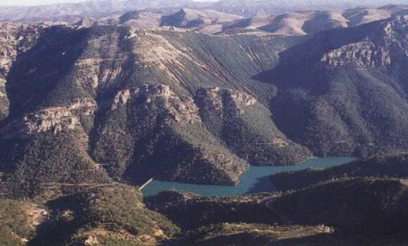 Pantano de Anchuricas