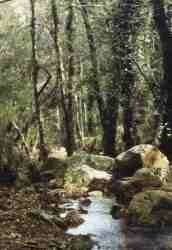 Arroyo.jpg (6029 bytes)