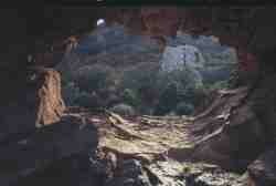 Gruta Los Alcornocales.jpg (3352 bytes)