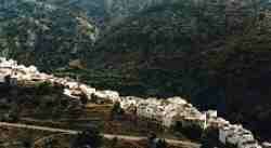 Sedella.jpg (3946 bytes)