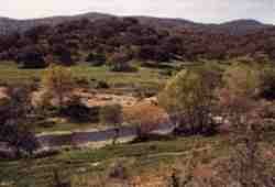ribera.jpg (4357 bytes)