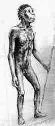 Hombre de Orce.jpg (3338 bytes)