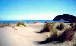 Playa Genoveses.jpg (3323 bytes)