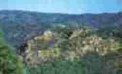 Sierra.jpg (2916 bytes)