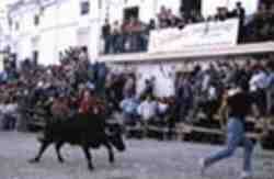 Fiestas.jpg (4430 bytes)