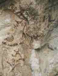 Pinturas de Collado del Guijarral.jpg (4797 bytes)