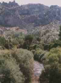 RoMadera.jpg (4649 bytes)
