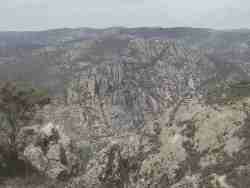 Los rganos2.jpg (4273 bytes)