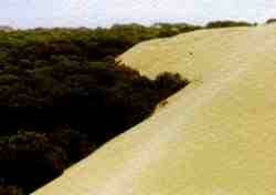 Dunas.jpg (3034 bytes)