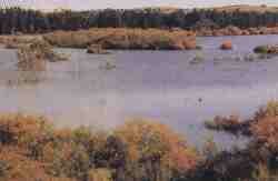 Taraje Entorno Doana.jpg (3637 bytes)