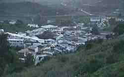 El Bosque.jpg (3773 bytes)