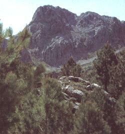 Grazalema.jpg (14874 bytes)