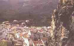 Olvera.jpg (4300 bytes)