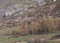 Cao del Aguadero Bedmar.jpg (4624 bytes)