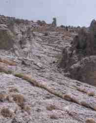 Lanchas.jpg (5168 bytes)