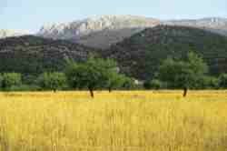 Paisaje.jpg (3396 bytes)