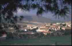 Topares.jpg (3523 bytes)