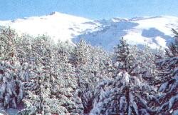Sierra Nevada.jpg (13426 bytes)