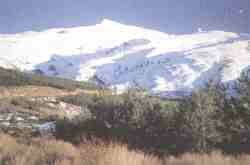 Veleta.jpg (3777 bytes)