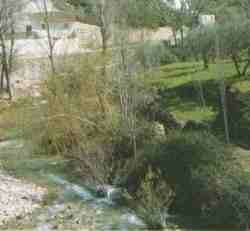 El Burgo.SN.jpg (5428 bytes)