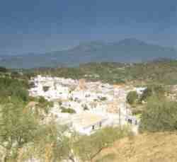 Guaro.SN.jpg (4273 bytes)