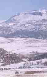 S. de las Nieves.jpg (3617 bytes)