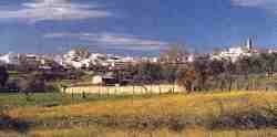 El Pedroso.jpg (3500 bytes)