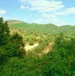 Sierra Norte1.jpg (5792 bytes)