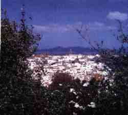 Alcal de los Gazules