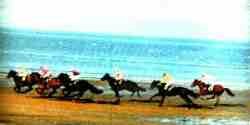 Carrera de caballos en Sanlcar