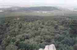 Panormica
