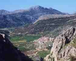Alfarnatejo