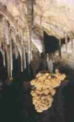 Cuevas de Nerja